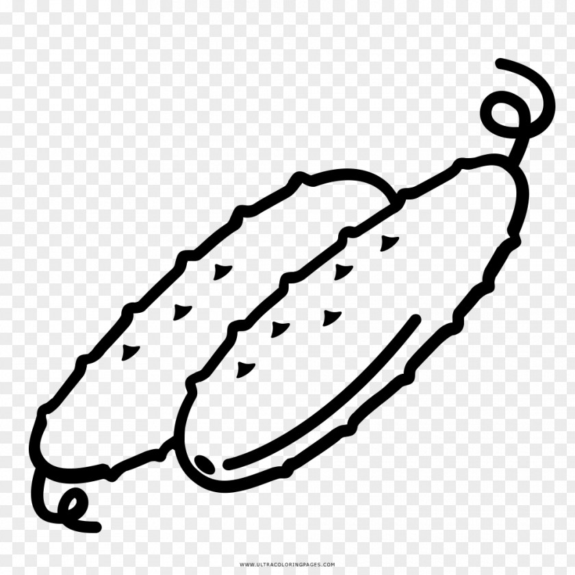 Cucumber Drawing Coloring Book Ausmalbild PNG