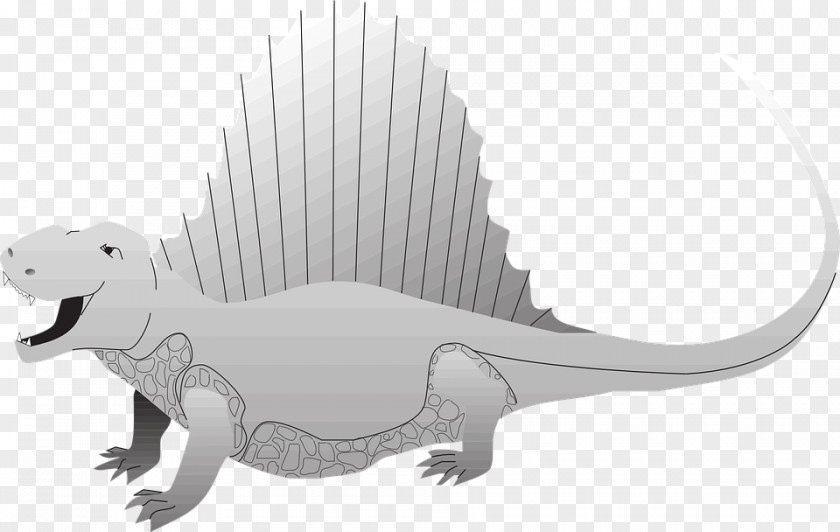 Dinosaur Spinosaurus Tyrannosaurus Clip Art PNG