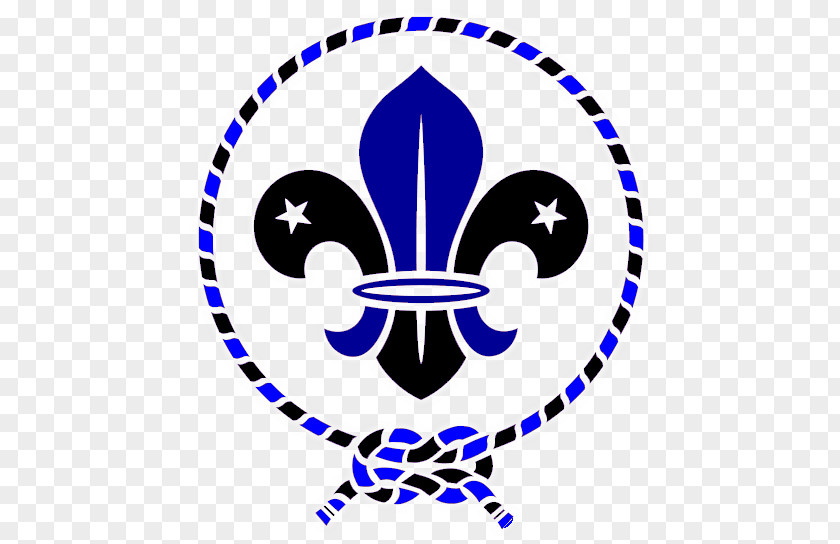 Flor De Lis Scouting For Boys World Scout Emblem Organization Of The Movement Fleur-de-lis PNG