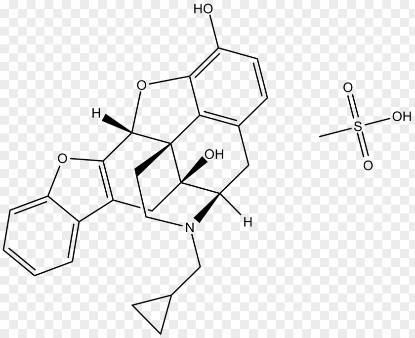Hormone Secretion Opioid Receptor Antagonist Micromolar PNG