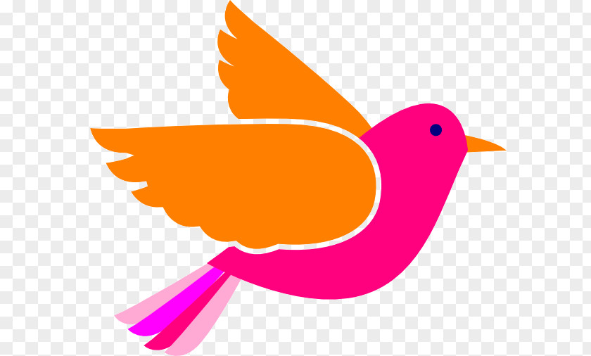 Logo Hummingbird Tweety Bird PNG