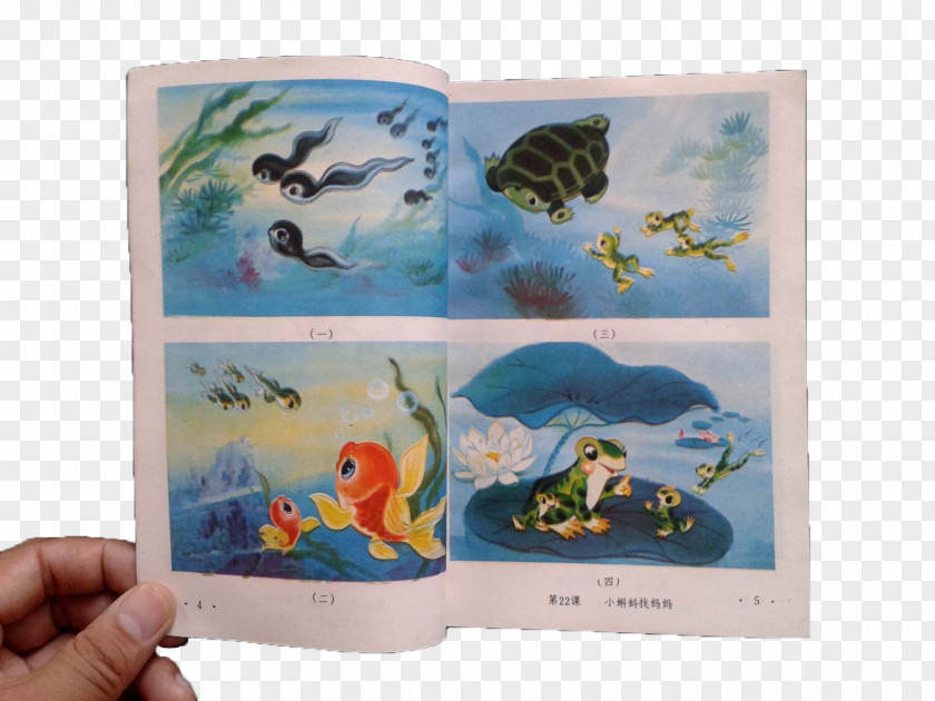 Primary School Textbooks Small Tadpoles Looking For Mom National Textbook PNG