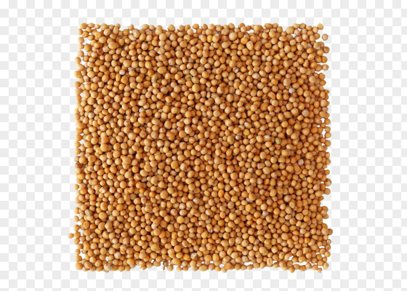 Spice Cereal Sprouted Wheat Condiment Health PNG