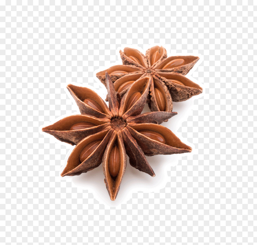 Tea Spice Star Anise Flavor PNG