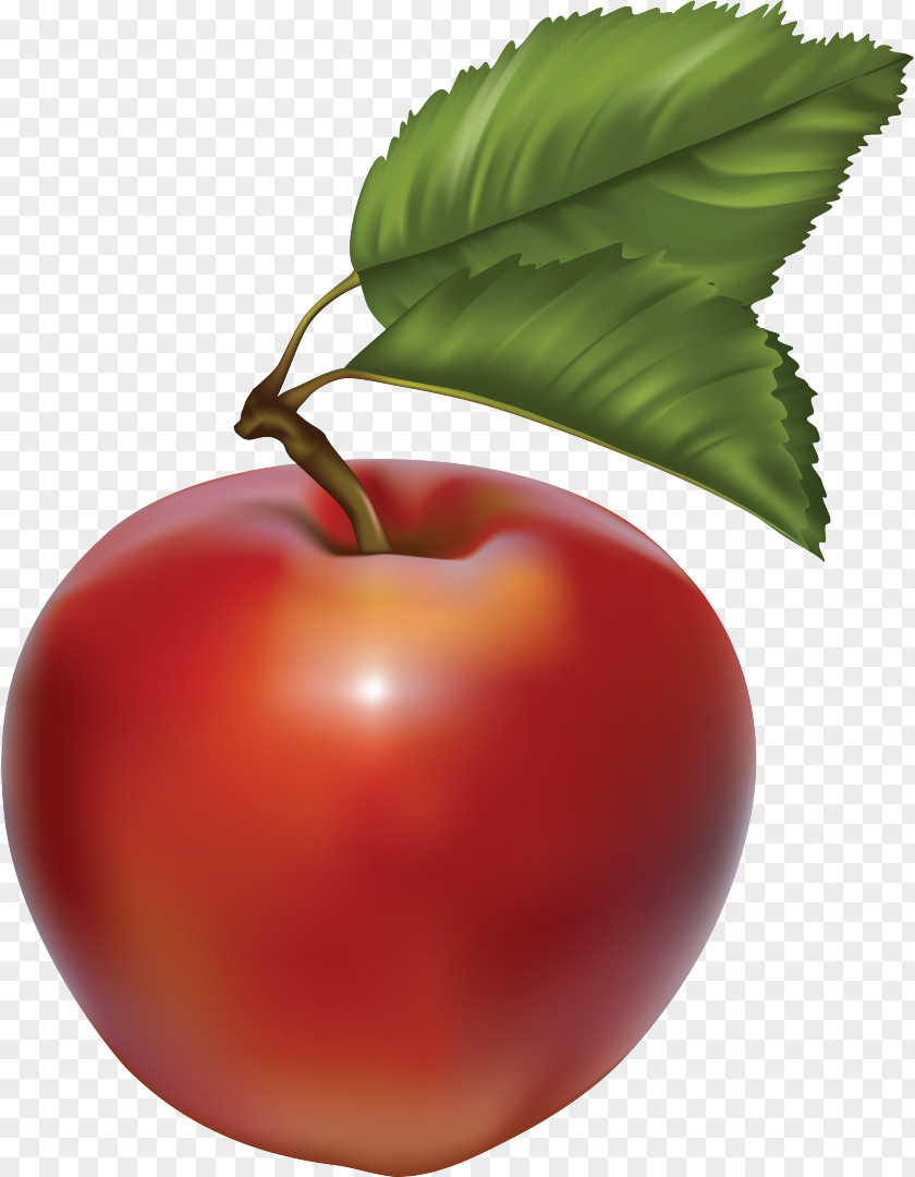 Apple Vector Graphics Fruit Clip Art PNG
