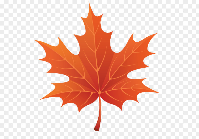 Autumn Leaf Color Clip Art PNG