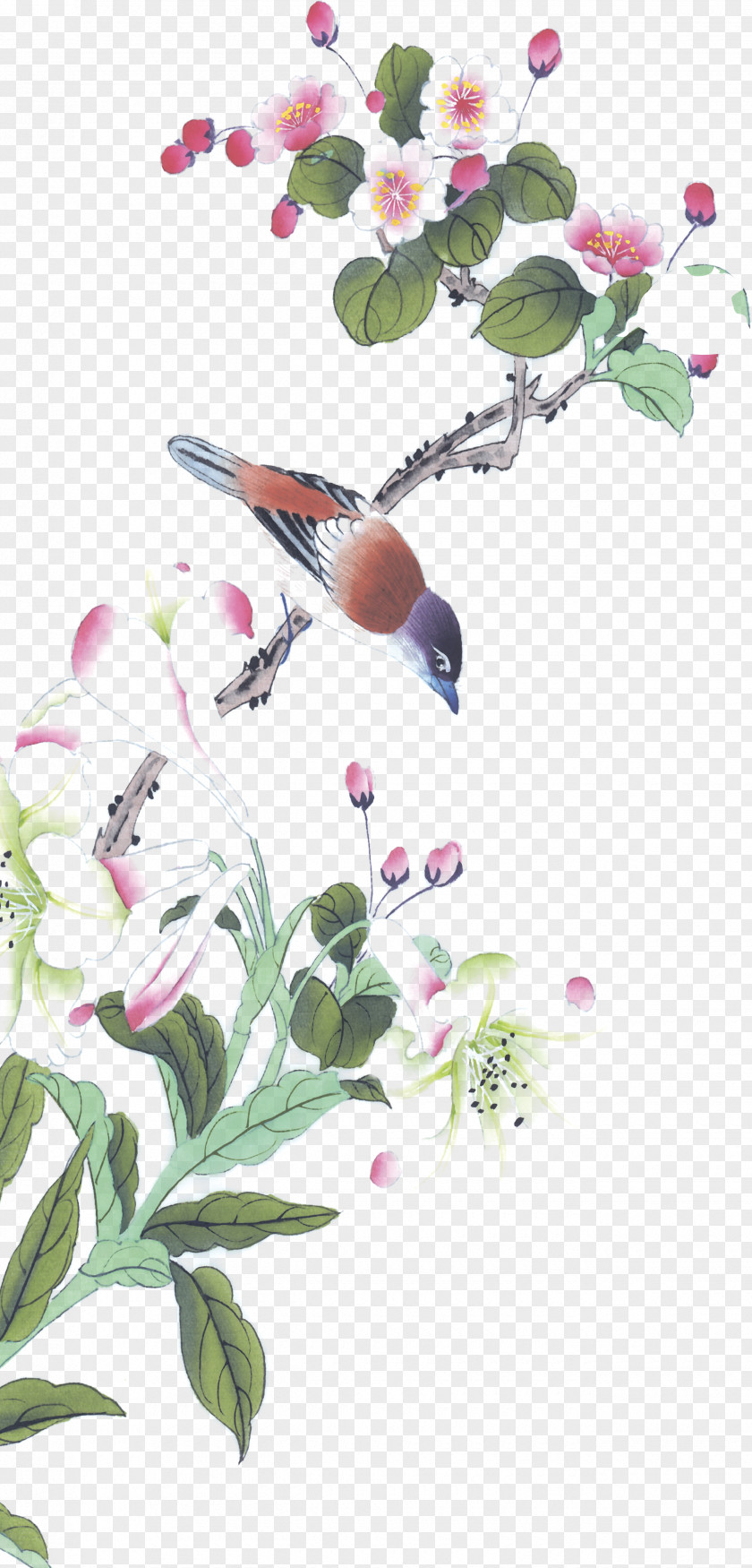 Branches Vector Calligraphy Image Chinese Painting Bird-and-flower PNG