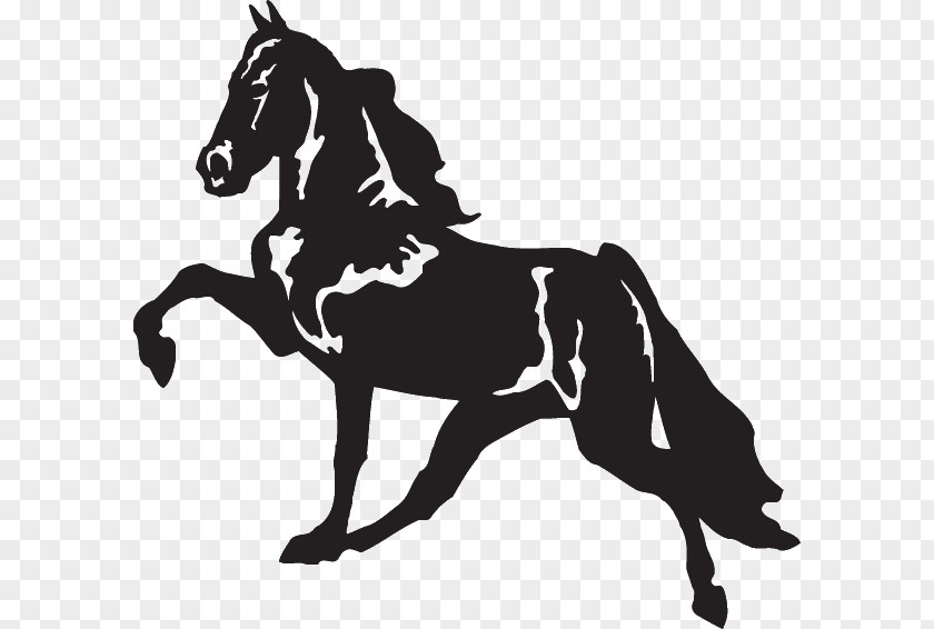 Car Tennessee Walking Horse Decal Racking Bumper Sticker PNG