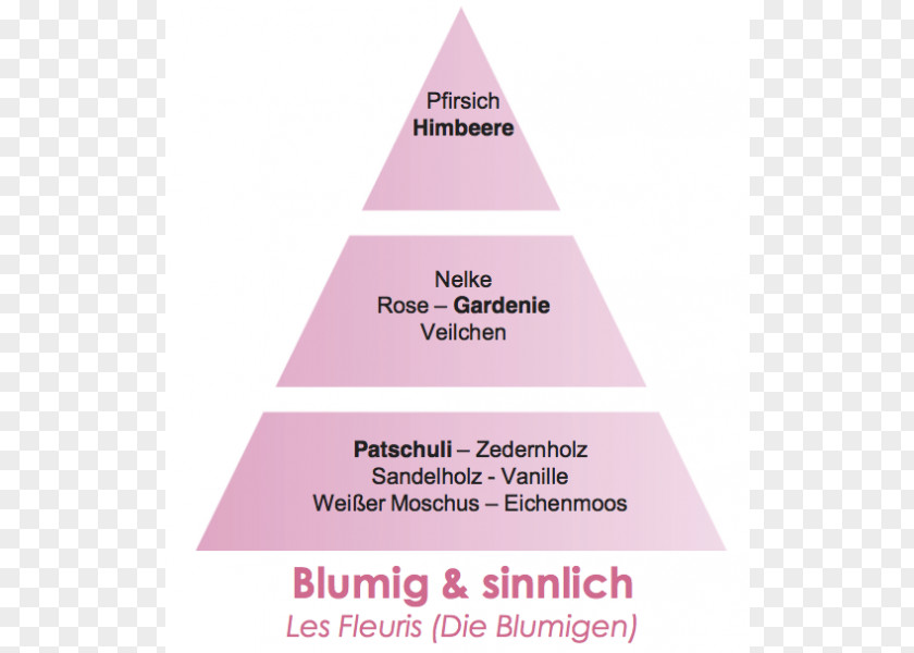 Lampe Brand Triangle Diagram Pink M PNG