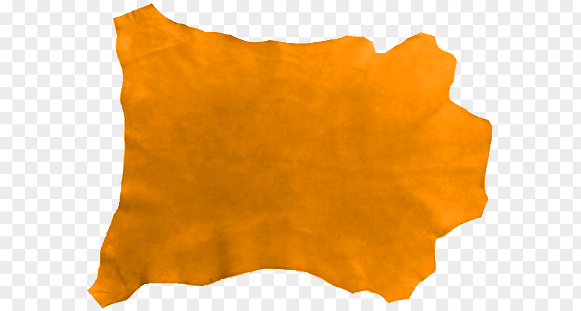 PERGAMINOS TinyPic Orange S.A. Video PhotoScape PNG