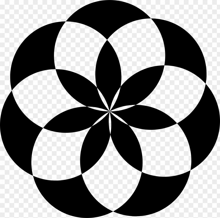 Shape Geometric Flower Circle Clip Art PNG