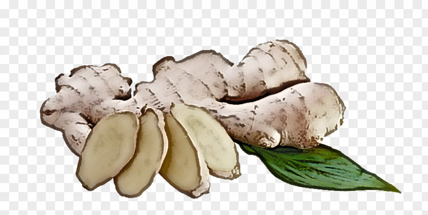 Tuber Ingredient Fruit PNG