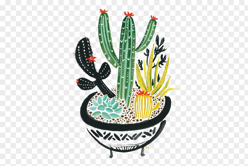 Hand-painted Cactus Cactaceae Succulent Plant Painting PNG