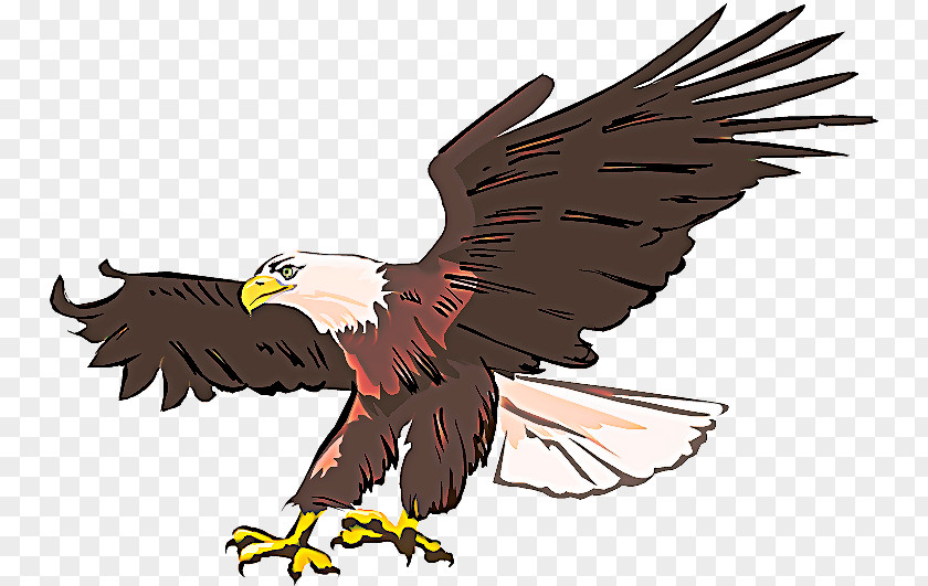 Tail Falcon Bird Tattoo PNG