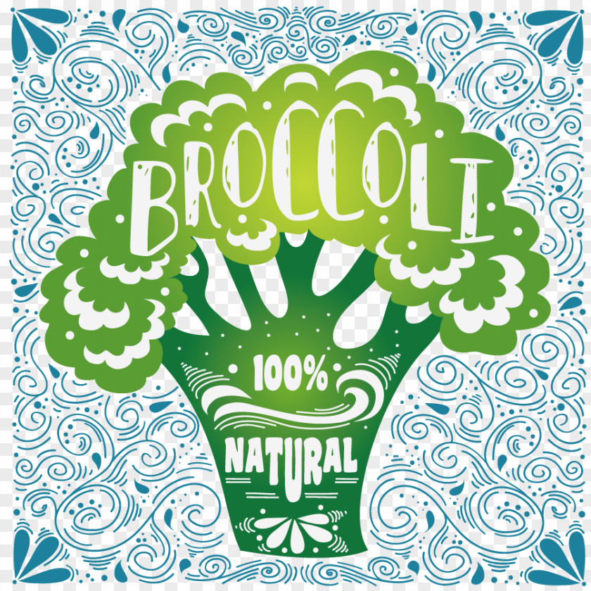 Vegetable Food Organic Broccoli Drawing PNG