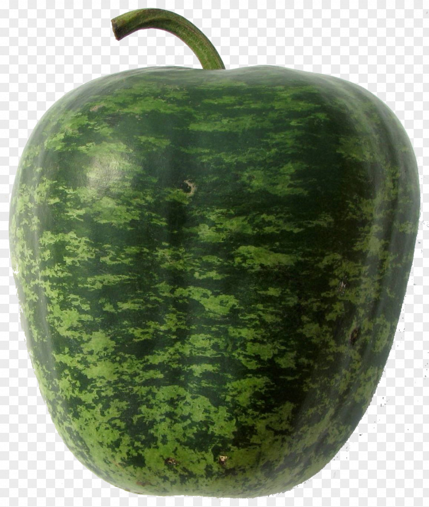 Watermelon Wax Gourd Cucumber Pumpkin PNG