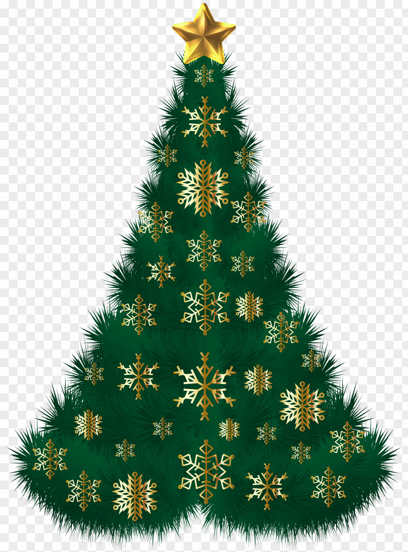 Christmas Tree Spruce Ornament Clip Art PNG