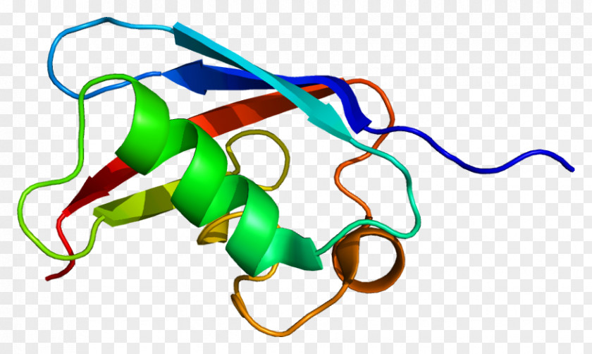 FAF1 Fas Receptor Gene Protein Ligand PNG