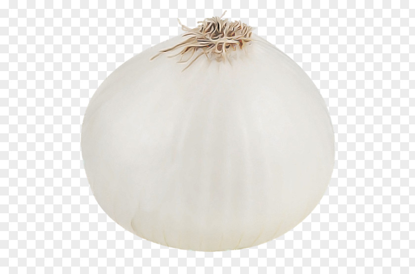 Ornament Plant Ceiling Onion PNG