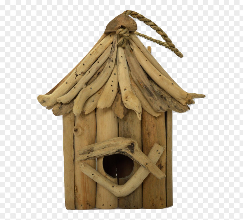 Driftwood Bird Nest Cartoon PNG