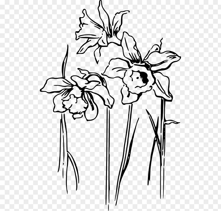Floral Design I Wandered Lonely As A Cloud Drawing Daffodil Clip Art PNG
