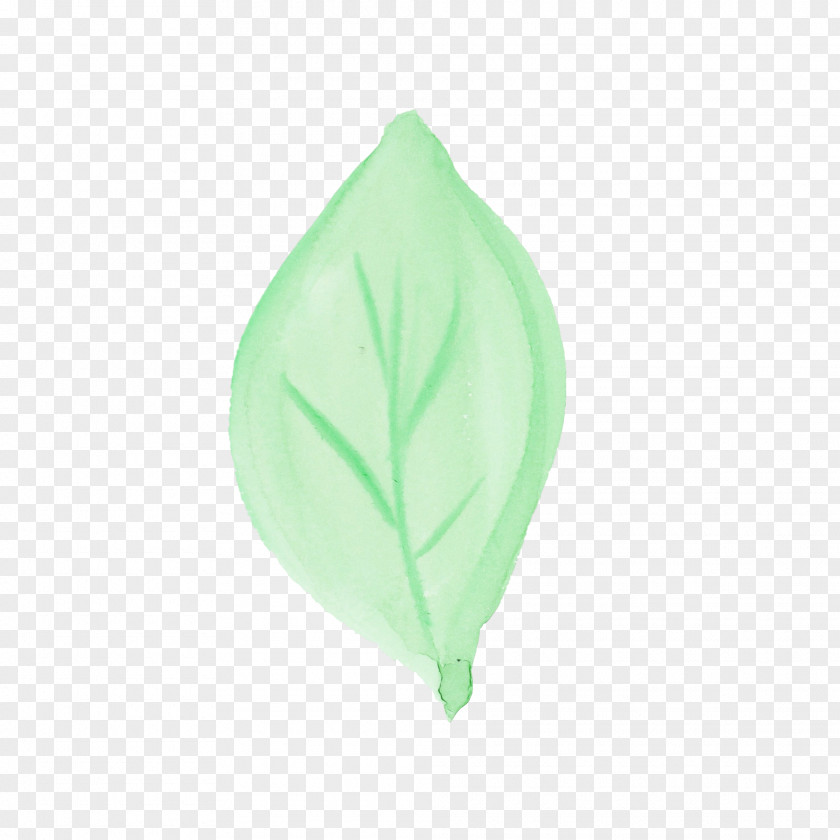 Green Leaf Plant Petal Morning Glory PNG