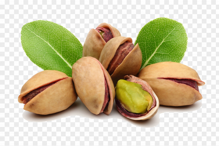 Green Leaves And Pistachios Pistachio Nut Food Almond PNG