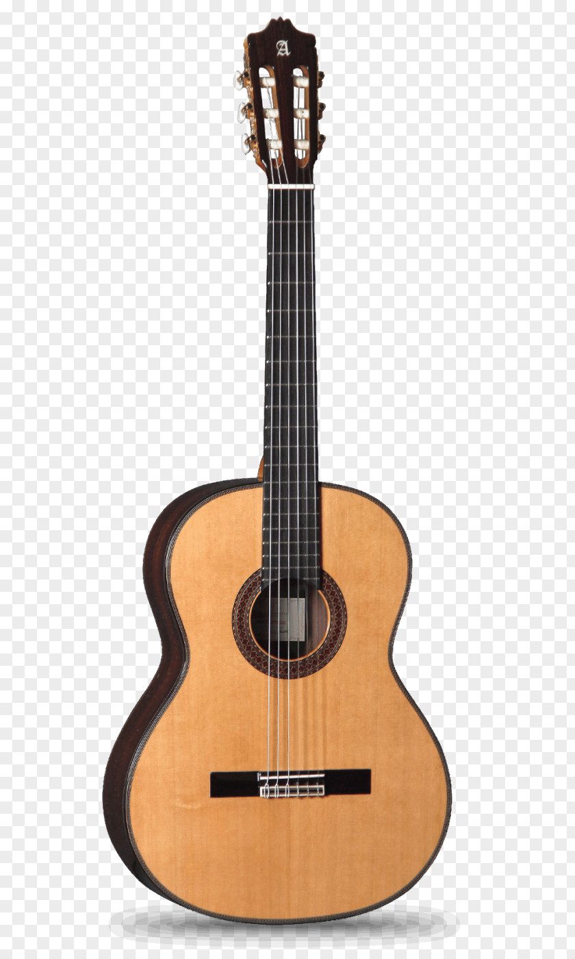 Guitar Alhambra Classical Acoustic C. F. Martin & Company PNG