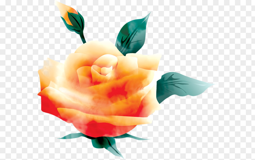 One Flower Rose Valentines Day PNG