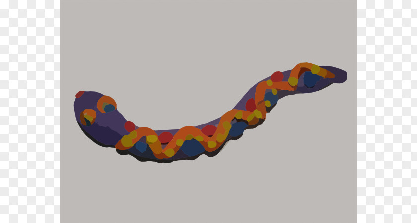 Play- Doh Cliparts Coral Snake Play-Doh Copperhead Clip Art PNG