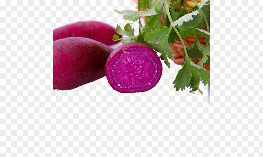 Purple Sweet Potato Radish Vegetable PNG