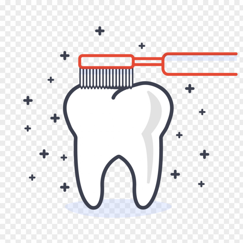 Dental Insurance Tooth Directors And Officers Liability Employment Practices Wang PNG