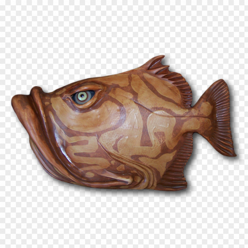 Fish Every Year Billy Jack /m/083vt Ceramic Wood PNG
