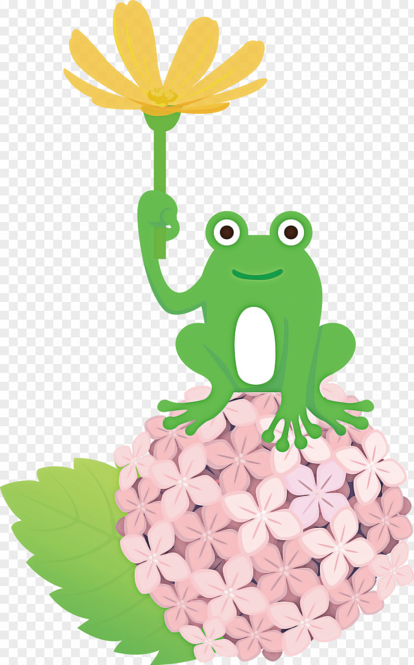 Frogs Tree Frog Cartoon Green Flower PNG