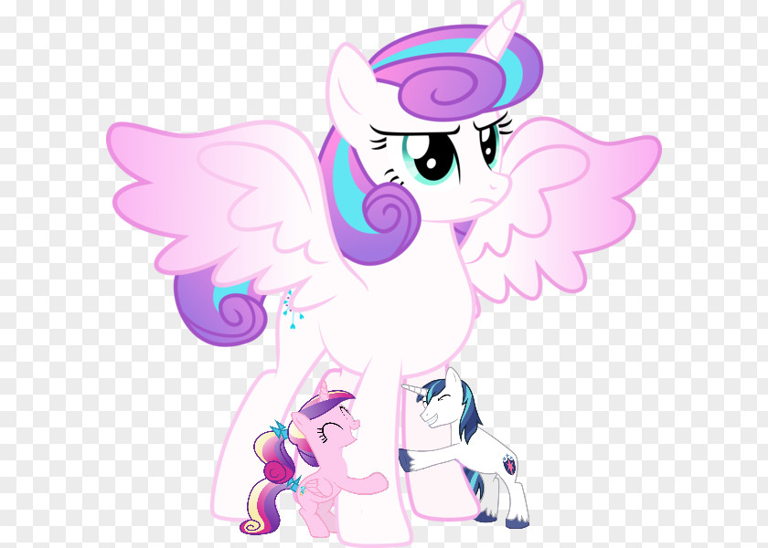 Grown Ups Pony Twilight Sparkle Rarity Princess Cadance Equestria PNG
