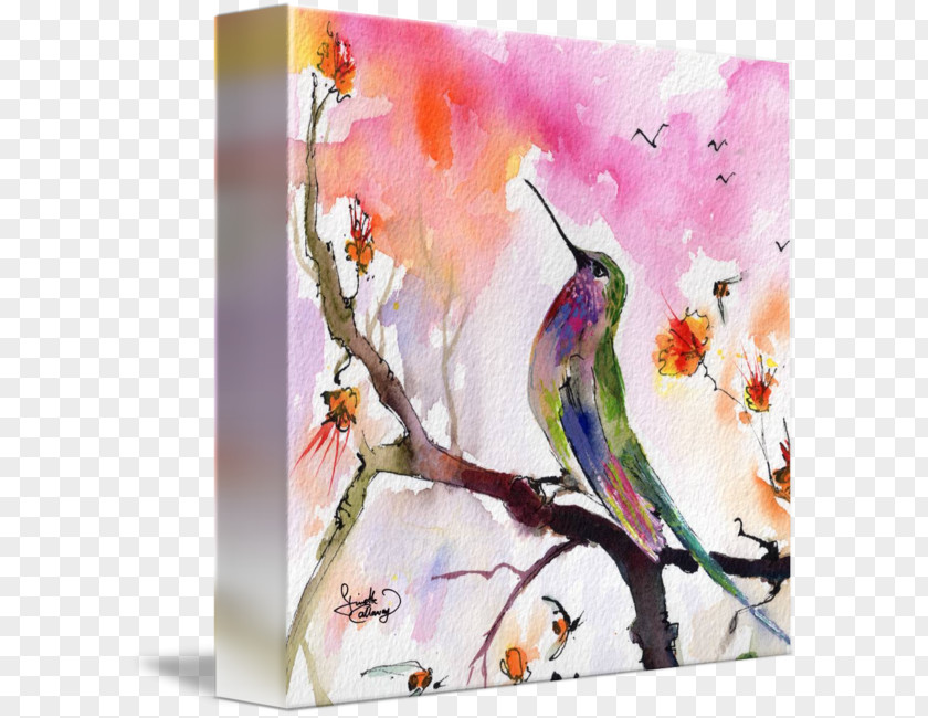 Painting Watercolor Hummingbird Fine Art PNG