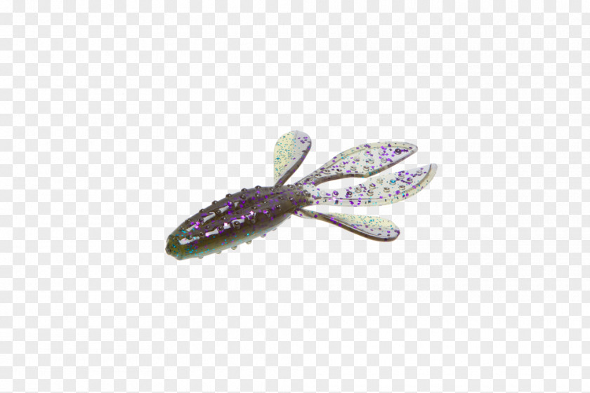 Pumpkin Seeds Bait Purple Jewellery PNG