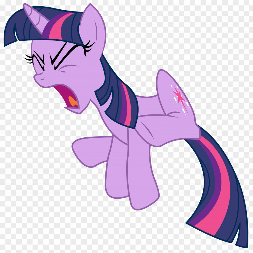 Cat Twilight Sparkle Fluttershy Pony PNG