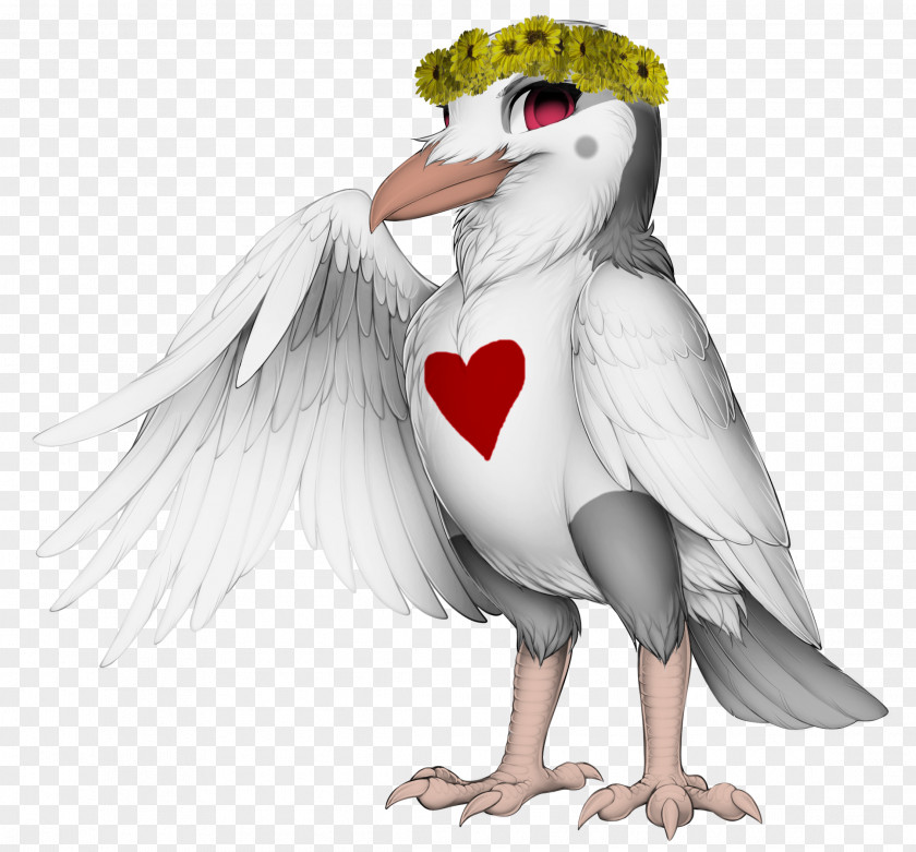 Chicken Bird Cygnini Goose Duck PNG
