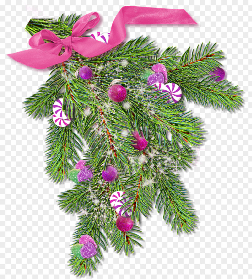 Christmas Spruce Ornament Fir Pine PNG