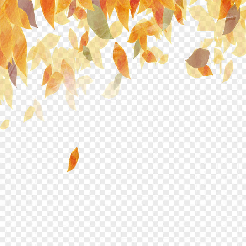 Colored Autumn Leaves PNG