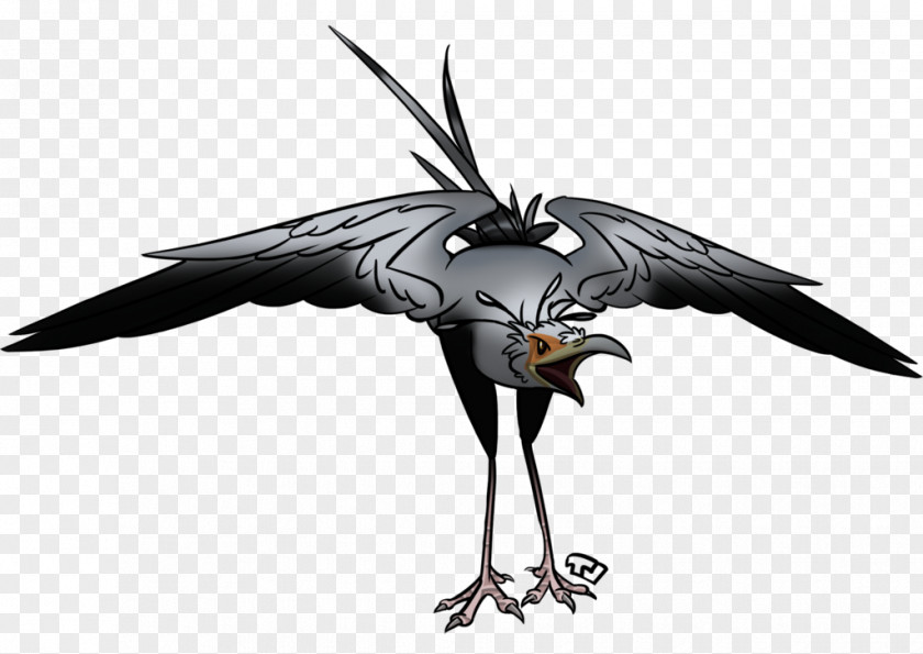 Eagle Secretarybird Vulture PNG