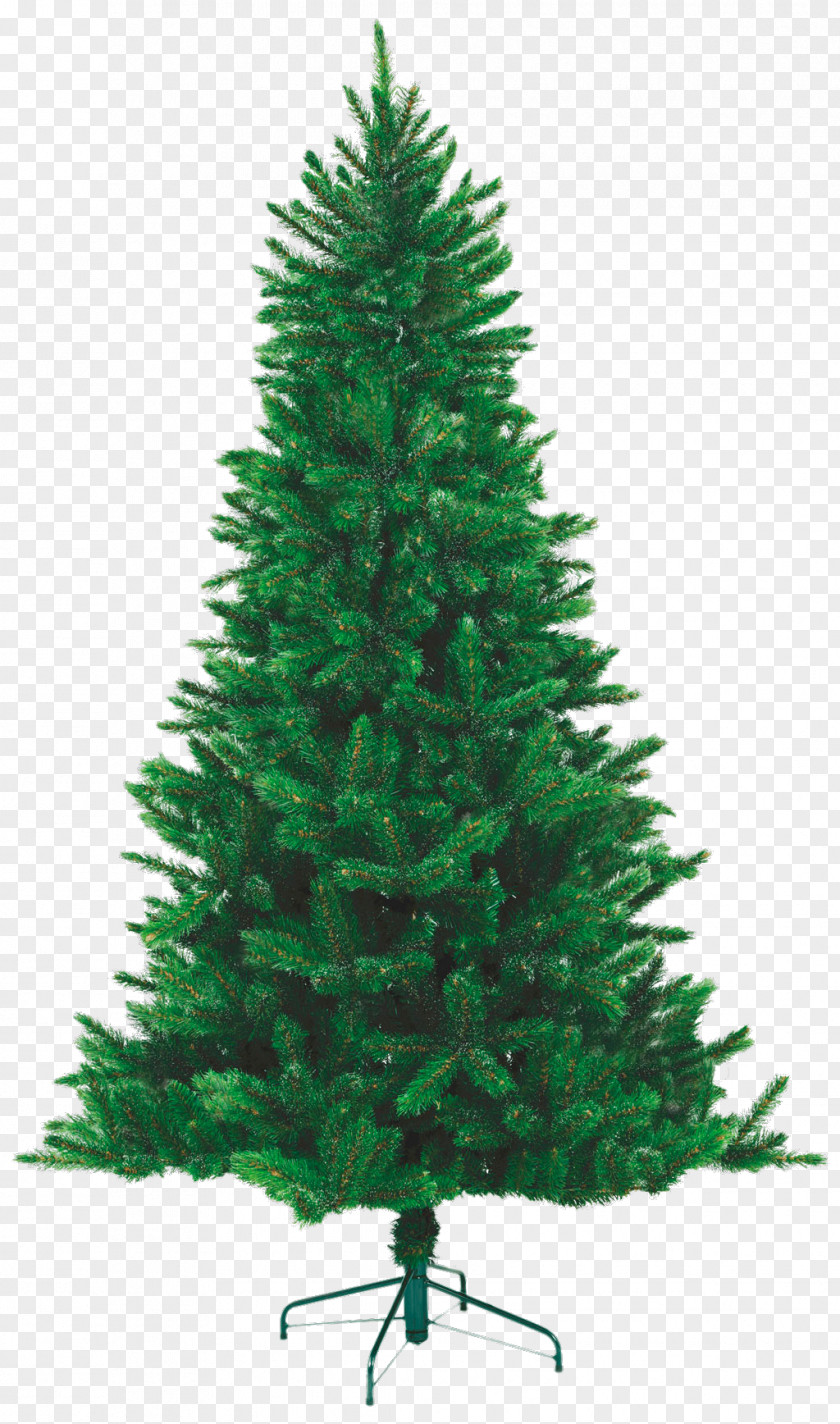Fir-tree Needle Norway Spruce New Year Tree Green Pine PNG
