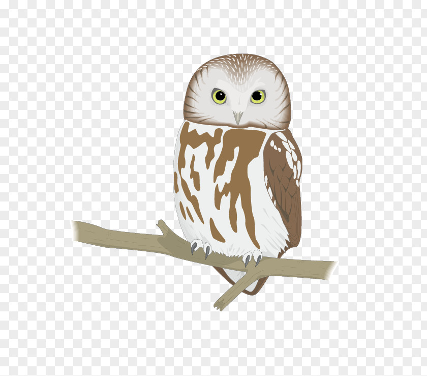 Lovely Owl Letter Purdue University State Of Connecticut Department Mental Health And Addiction Services Word PNG