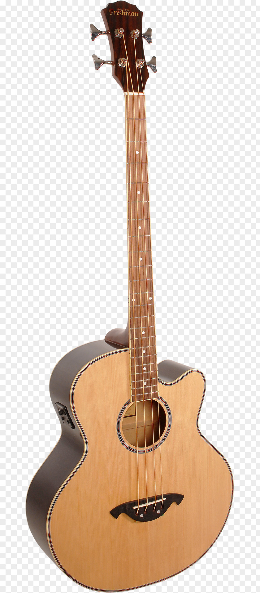 Bass Guitar Epiphone Rivoli Acoustic PNG