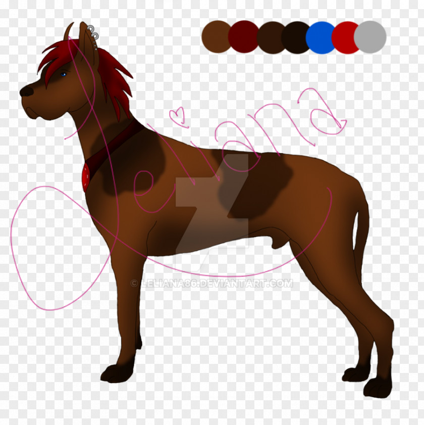 Dog Pony Mustang Stallion Halter PNG