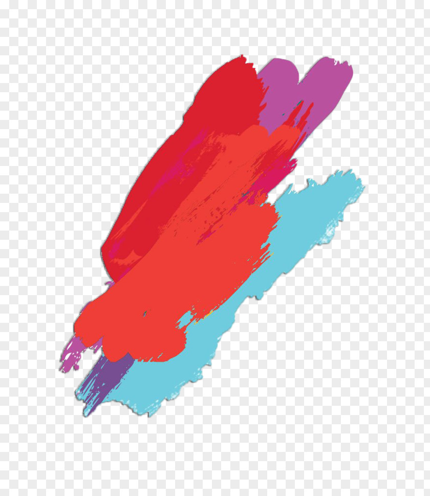 Paint Microsoft Color Clip Art PNG