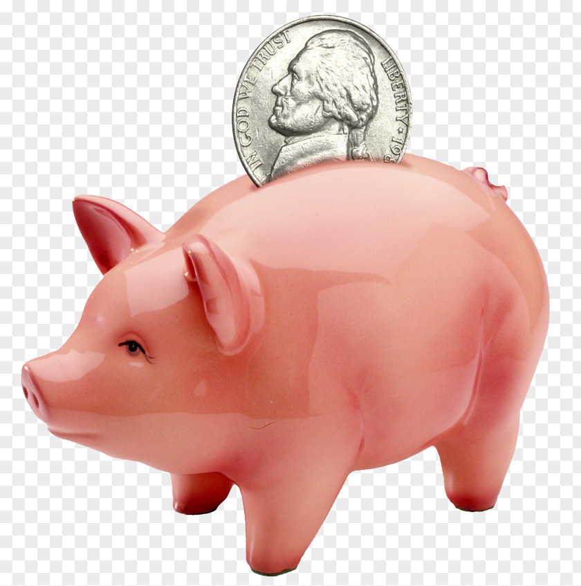 Piggy Bank Schweine PNG