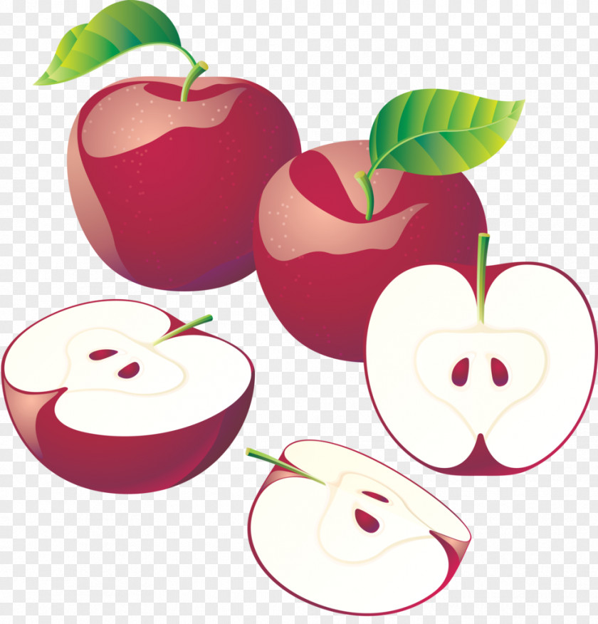 Apple Vector Graphics Image Clip Art PNG