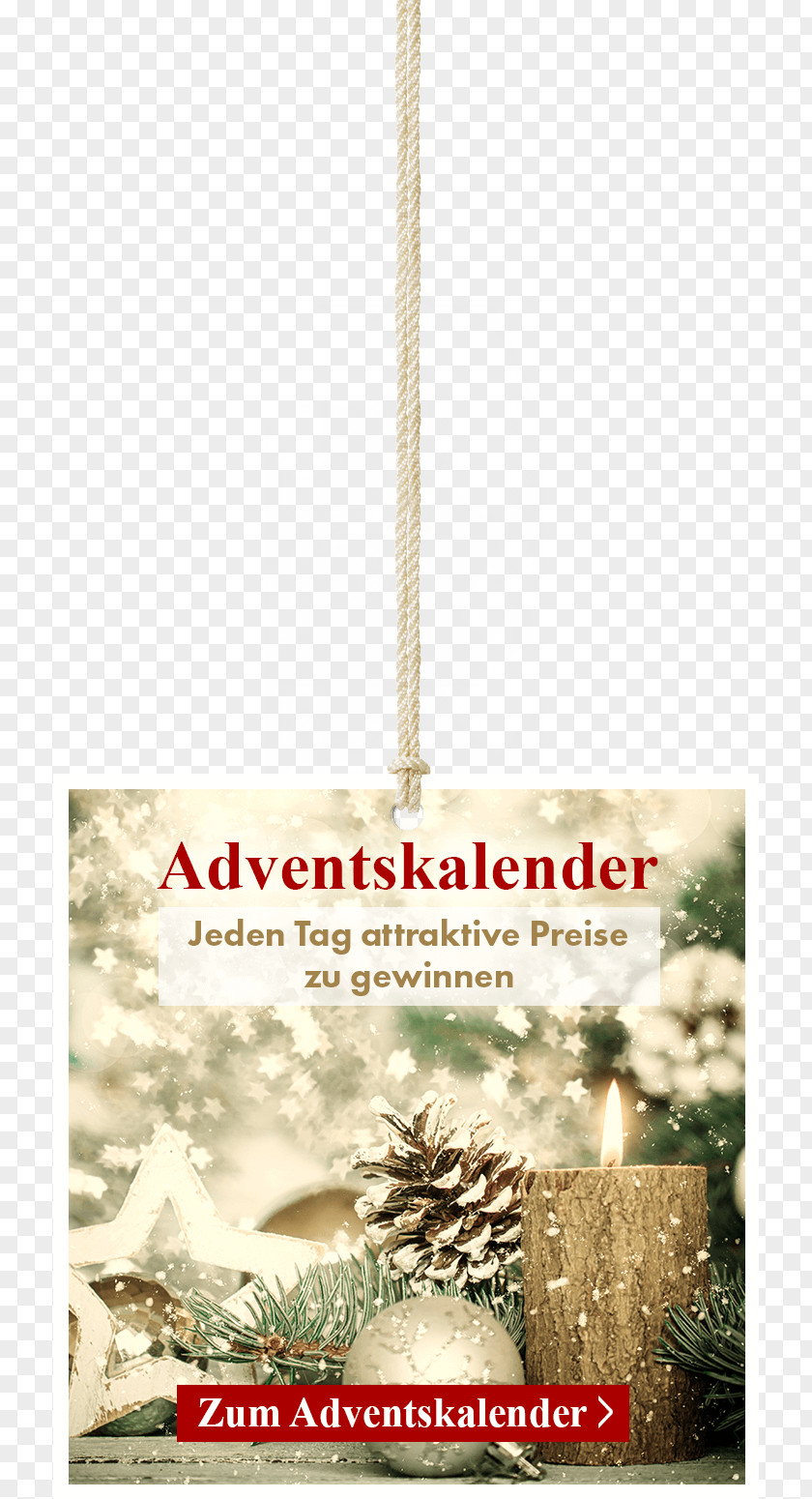 Christmas Tree Day Ornament Font PNG